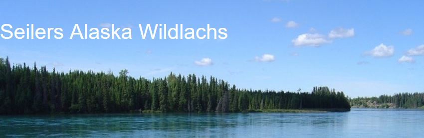 Seilers Alaska Wildlachs
